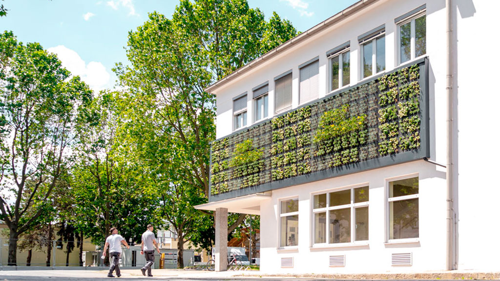 cambio climático, Naturbase, start-up, Austria, plantas