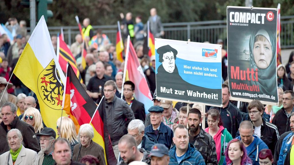 Marcha, protesta, Alemania, AfD