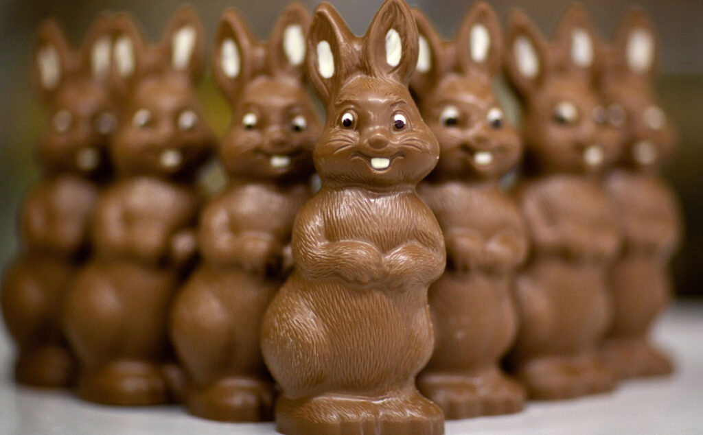 Conejos de chocolate, Pascuas, 2024