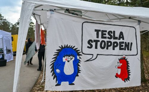 Tesla, Alemania, protesta, Stoppen, Fábrica, Musk, campamento