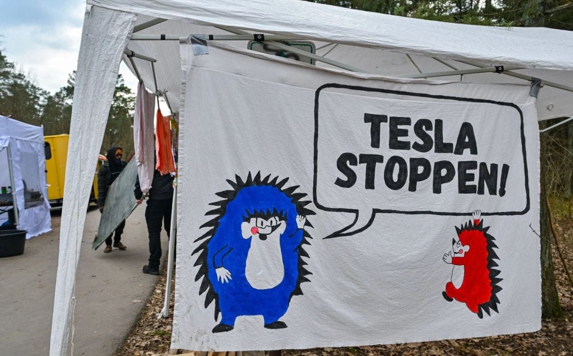 La caída de Tesla en Europa: el impacto de las decisiones políticas de ...