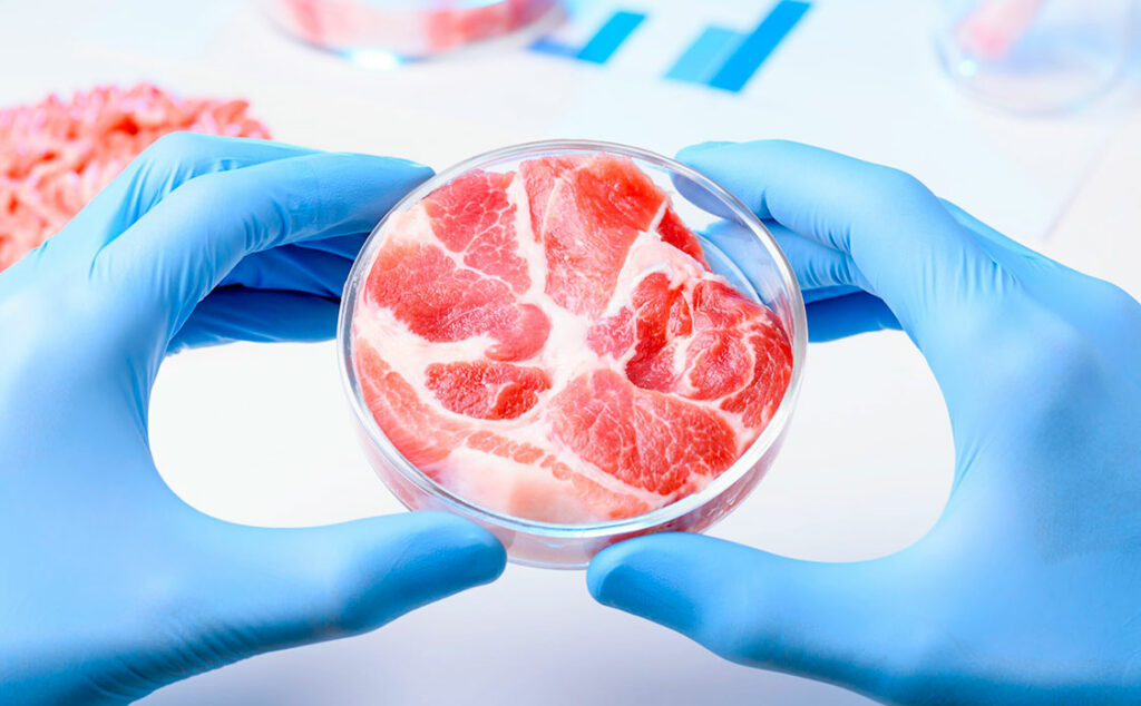 laboratorios, alimentos, biorreactor, carne cultivada