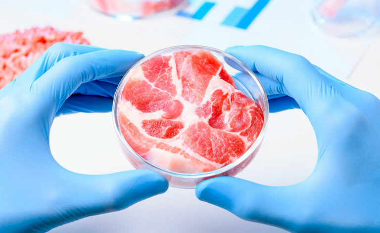 laboratorios, alimentos, biorreactor, carne cultivada