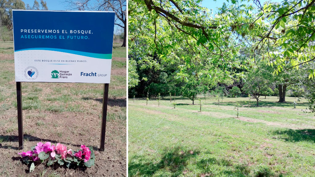 Congregación Evangélica Alemana en Buenos Aires, CEABA, Sostenibilidad, Educación ambiental, Baradero, Arborización, Huella de carbono, Responsabilidad social, Comunidad germanoparlante, Reforestación, Desarrollo infantil, Biodiversidad en Argentina