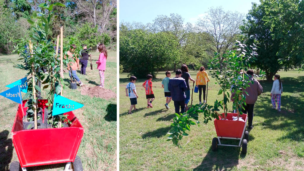 Congregación Evangélica Alemana en Buenos Aires, CEABA, Sostenibilidad, Educación ambiental, Baradero, Arborización, Huella de carbono, Responsabilidad social, Comunidad germanoparlante, Reforestación, Desarrollo infantil, Biodiversidad en Argentina