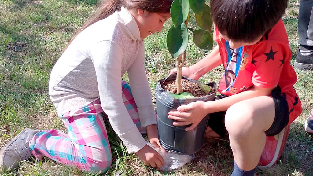 Congregación Evangélica Alemana en Buenos Aires, CEABA, Sostenibilidad, Educación ambiental, Baradero, Arborización, Huella de carbono, Responsabilidad social, Comunidad germanoparlante, Reforestación, Desarrollo infantil, Biodiversidad en Argentina