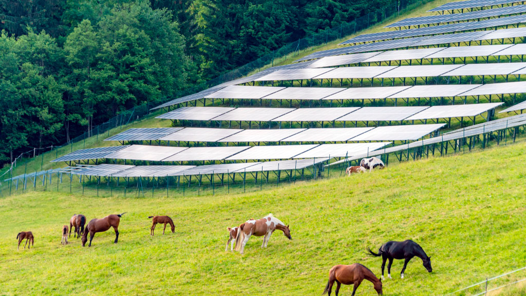 Sedrun, Parque solar, Suiza, Energía renovable, Alpes suizos, Crisis climática, Energía solar, Sustentabilidad, Sedrun, Solar Express, WWF, Energía en invierno, Comunidad local, Innovación tecnológica, Colaboración ambiental