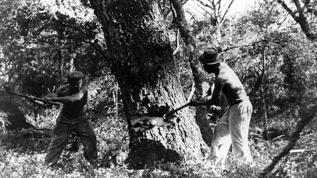 Inmigración Alemana, Argentina, Centro DIHA, , Historia de la Patagonia, La Forestal Chaco, Colonización alemana, Patrimonio cultural, Historia de la inmigración, Pioneros en Argentina, Patagonia Austral, Karl Harteneck