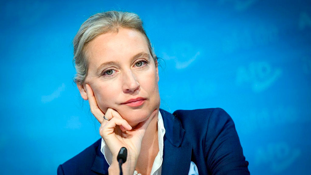 Alice Weidel, Alternativa para Alemania (AfD), Bundestag, Política alemana, Extrema derecha, Elecciones federales Alemania, Inmigración, Islam en Europa, Angela Merkel, Populismo, Nacionalismo alemán, Economía neoliberal, Contradicciones políticas, LGBTQ+ en la política, AfD elecciones, Debate político en Alemania