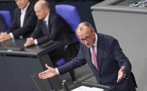 Friedrich Merz, Bundestag