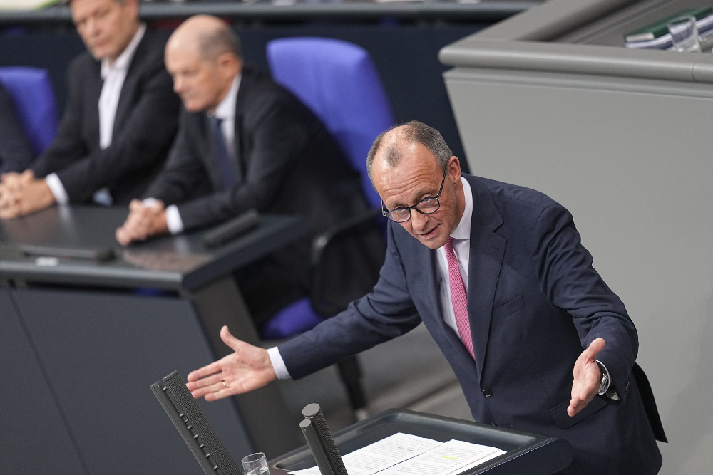 Friedrich Merz, Bundestag