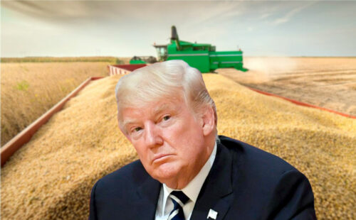 Trump, Mercados agrícolas, Estados Unidos, Política comercial, Soja y biodiésel, , Argentina, Producción de cereales, Exportaciones agrícolas, Biocombustibles, Relaciones comerciales internacionales