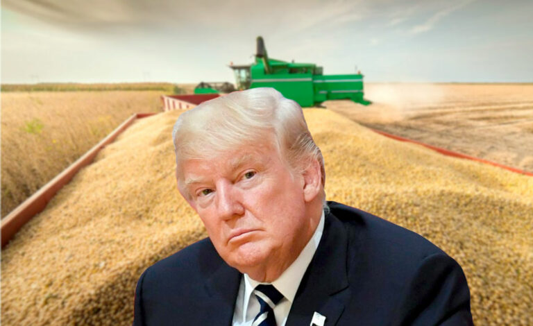 Trump, Mercados agrícolas, Estados Unidos, Política comercial, Soja y biodiésel, , Argentina, Producción de cereales, Exportaciones agrícolas, Biocombustibles, Relaciones comerciales internacionales