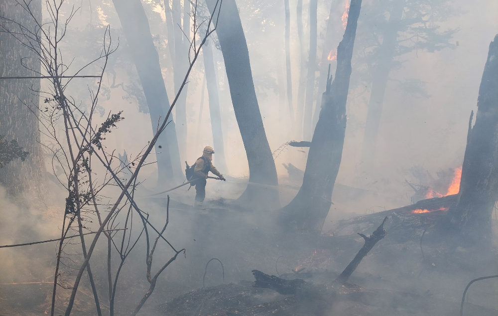 Brigadista, fuegos forestales