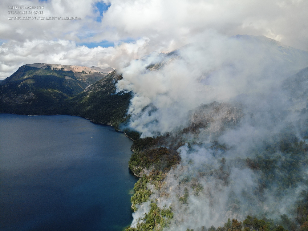 Fuego forestal Brazo Tristeza 2