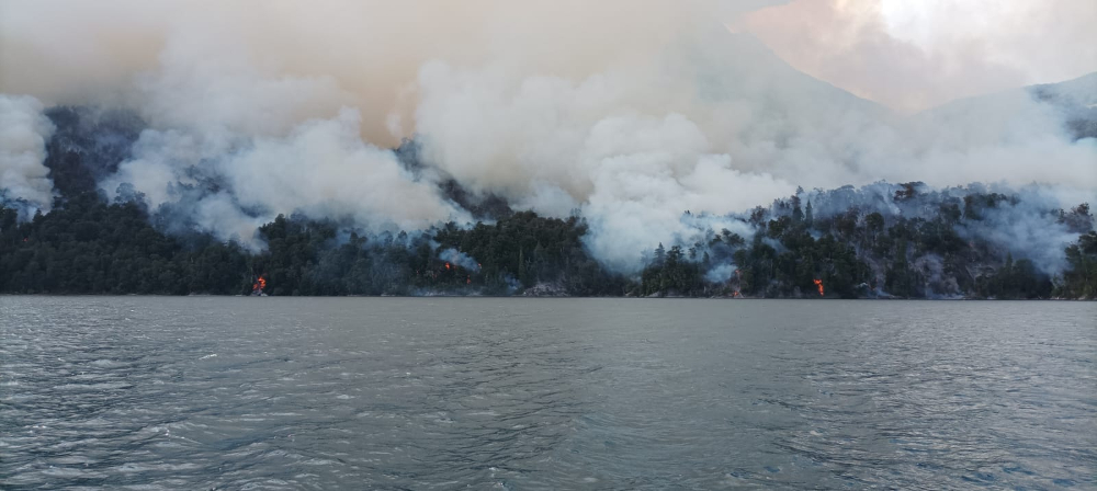 Fuego forestal, Brazo Tristeza