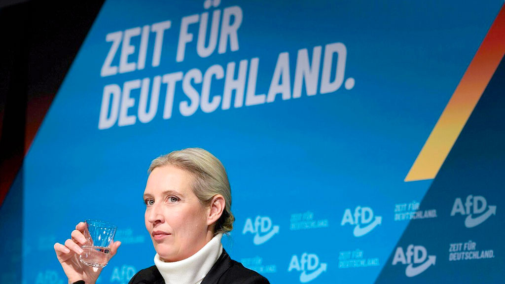 Alice Weidel, elecciones, Alemania, Elecciones Alemania 2025, Bundestag, AfD, Política alemana, Inmigración en Alemania, Economía alemana, Política exterior de Alemania, Guerra en Ucrania, Partidos emergentes, Unión Europea, Populismo en Alemania