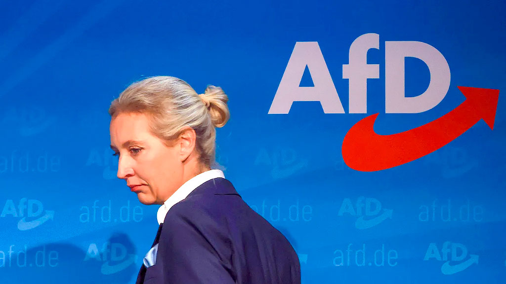 Alice Weidel, elecciones, Alemania, Elecciones Alemania 2025, Bundestag, AfD, Política alemana, Inmigración en Alemania, Economía alemana, Política exterior de Alemania, Guerra en Ucrania, Partidos emergentes, Unión Europea, Populismo en Alemania