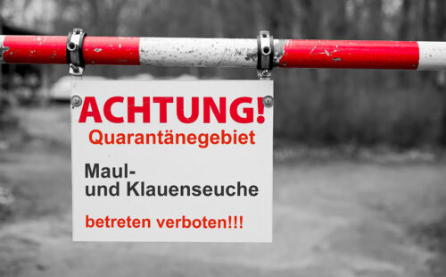 Fiebre aftosa, Austria, frontera, Hungría, Eslovaquia, Brote animal, Salud veterinaria, Control sanitario, Ministerio del Interior Austria, Producción ganadera, Virus animal, Unión Europea, OMSA, Agricultura