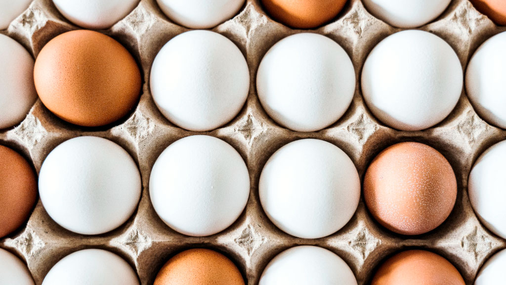 huevos, Pascua, Alemania, gripe aviar, alimentación, precios, consumo, bienestar animal, producción avícola, sostenibilidad, comercio internacional, industria alimentaria