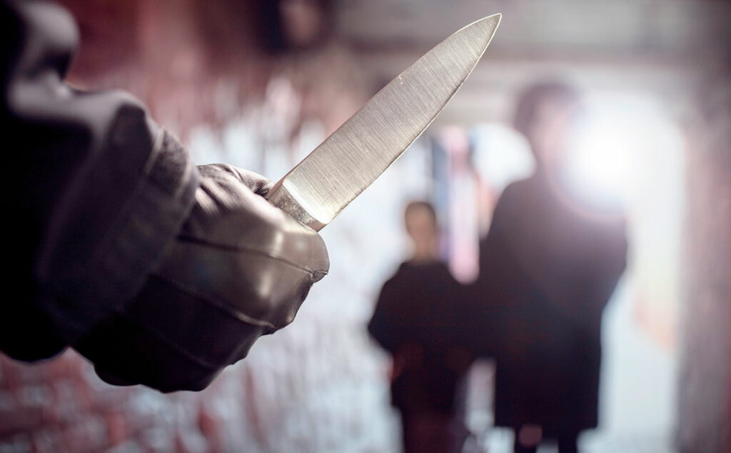 cuchillos, violencia, Berlín, ataques con cuchillo, transporte público, seguridad, policía, crimen, inmigración, justicia, prevención, Messerverbot, políticas públicas