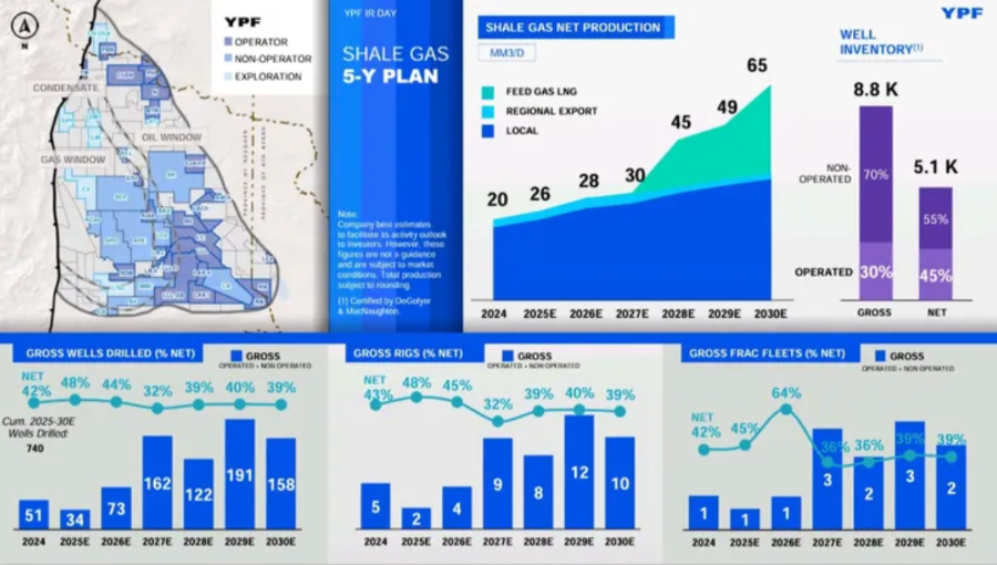 YPF, shale