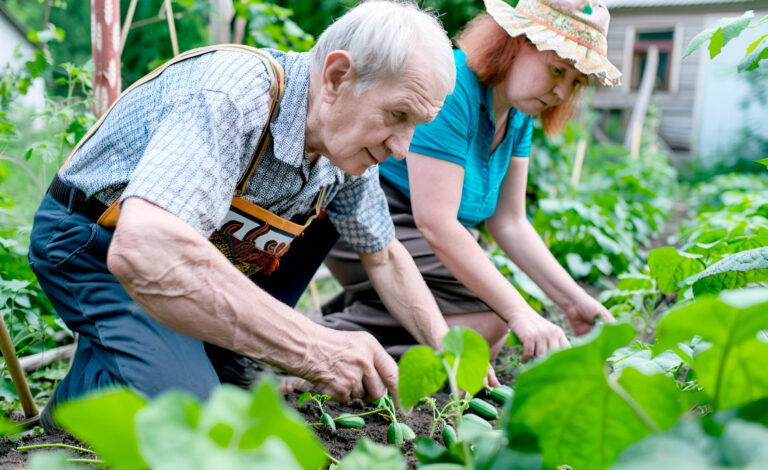 jubilados, Alemania, fuerza laboral, trabajo senior, jubilados activos, envejecimiento poblacional, mercado laboral, minijobs, adultos mayores, economía alemana, baby boomers, pobreza en la vejez, tercera edad, empleo flexible, voluntariado senior, política laboral, comunidad alemana
