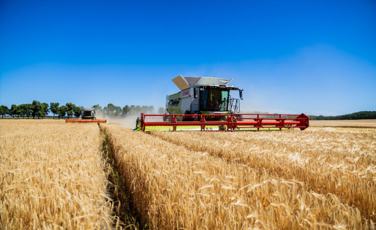Cosecha, Alemania, Cebada