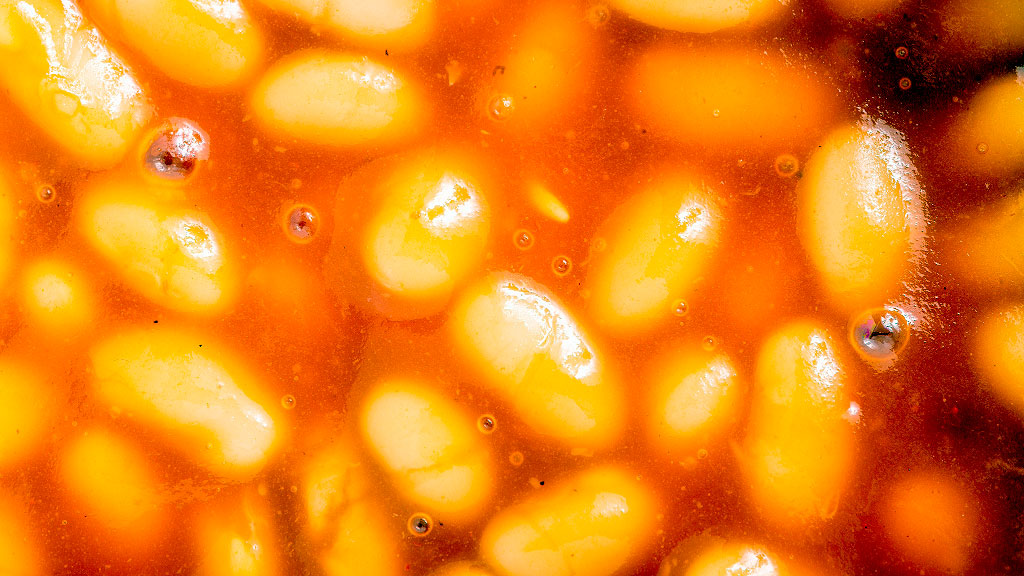 Alemania, seguridad alimentaria, Rusia, raviolis enlatados Alemania, seguridad alimentaria en Europa, Operación Alemania, amenaza rusa OTAN, búnkeres Alemania, ejército alemán 260.000 soldados, reactivación servicio militar Alemania, Friedrich Merz rearme Alemania