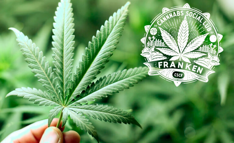 Baviera, Franken Cannabis, cannabis, prohibición cannabis Baviera, cannabis legalización Alemania, fallo Tribunal Administrativo Bayreuth, Markus Söder cannabis oposición, Ministerio de Construcción Baviera, uso del suelo cannabis Alemania, legalización parcial cannabis 2024, clubes cannábicos Alemania