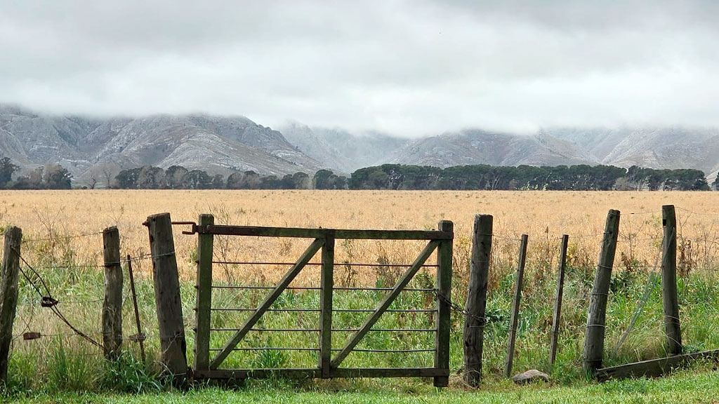 FAAG, Estancia Hogar Funke, Comunidad germano-argentina, FAAG visita Estancia Hogar Funke, comunidad alemana en Argentina, Tornquist Buenos Aires, bicentenario inmigración alemana, instituciones de origen alemán, proyectos conjuntos FAAG, Rodolfo Funke historia, Ernesto Tornquist vínculos, estancia modelo 13.000 hectáreas, Federación de Asociaciones Argentino-Germanas