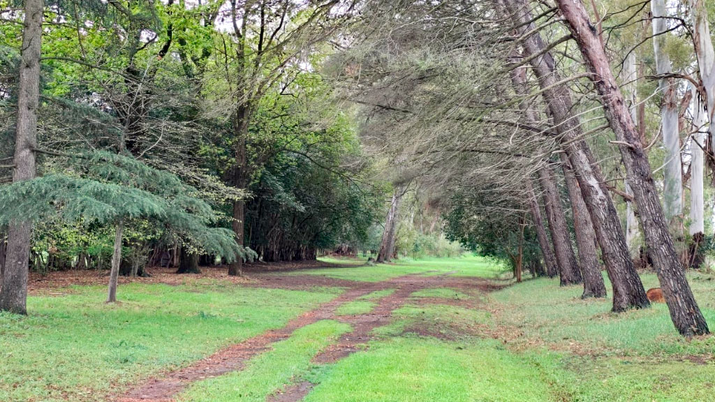 FAAG, Estancia Hogar Funke, Comunidad germano-argentina, FAAG visita Estancia Hogar Funke, comunidad alemana en Argentina, Tornquist Buenos Aires, bicentenario inmigración alemana, instituciones de origen alemán, proyectos conjuntos FAAG, Rodolfo Funke historia, Ernesto Tornquist vínculos, estancia modelo 13.000 hectáreas, Federación de Asociaciones Argentino-Germanas