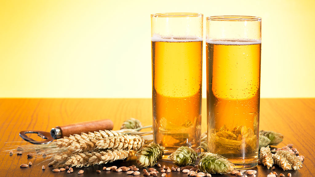 Reinheitsgebot, cerveza bávara, Duque Guillermo IV, decreto de pureza 1516, cerveza de trigo Alemania, Weihenstephan cervecería más antigua, tradición cervecera bávara, ley de pureza alemana, historia de la cerveza alemana, Duque Guillermo IV Baviera, consumo de cerveza per cápita Alemania