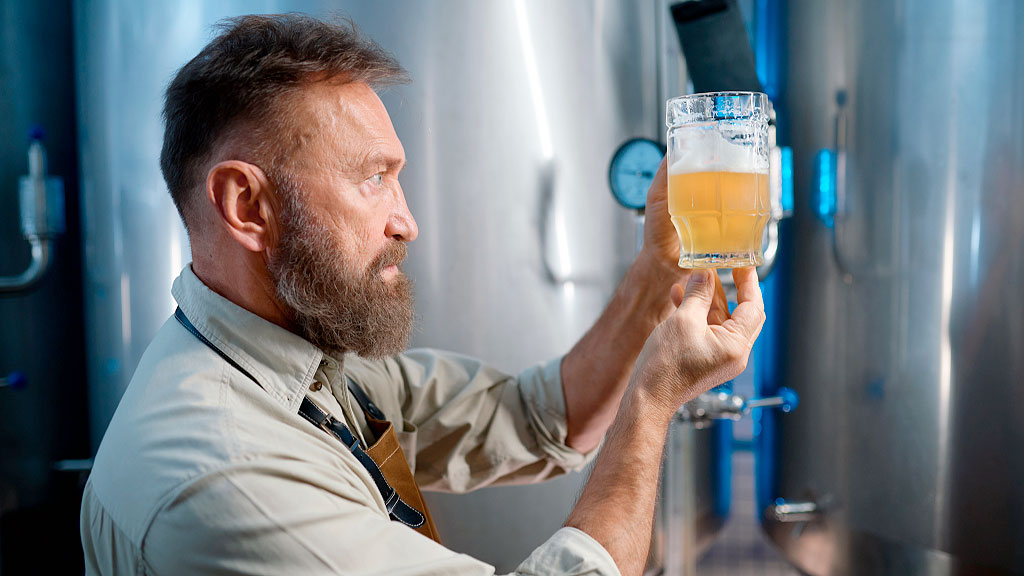 Reinheitsgebot, cerveza bávara, Duque Guillermo IV, decreto de pureza 1516, cerveza de trigo Alemania, Weihenstephan cervecería más antigua, tradición cervecera bávara, ley de pureza alemana, historia de la cerveza alemana, Duque Guillermo IV Baviera, consumo de cerveza per cápita Alemania