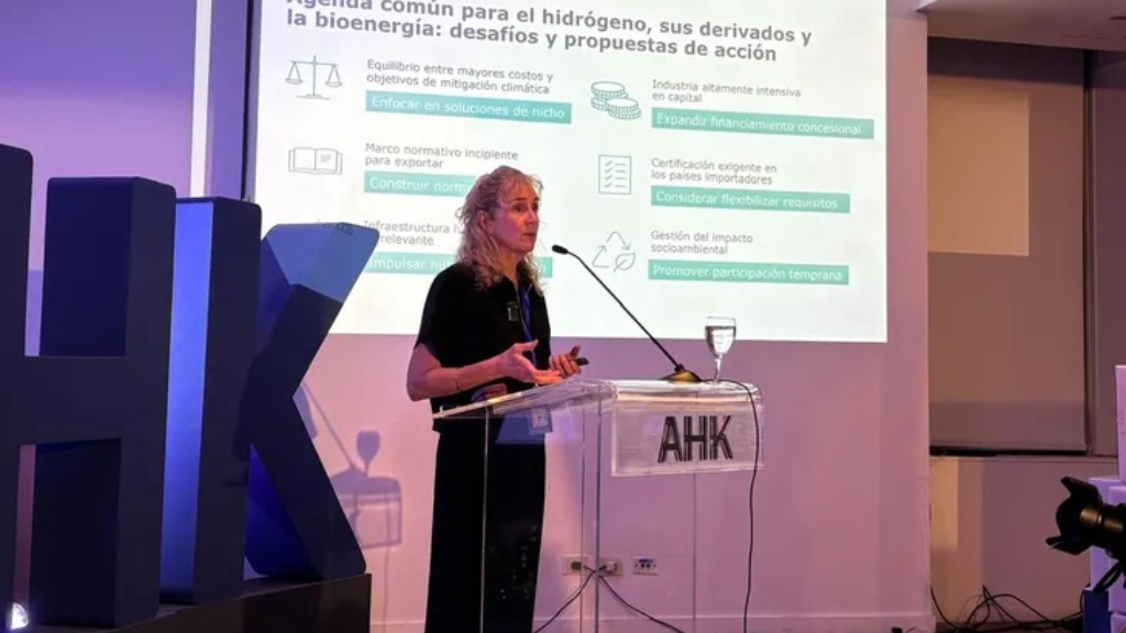 AHK Argentina, Hidrógeno, Alemania