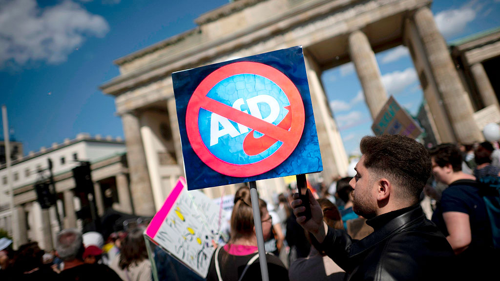prohibición afd, Bundestag, Alemania, afd partido extremista, alemania tribunal constitucional, bundestag afd, intento de prohibición afd, extremismo derecha alemania, libertad democrática alemania, carmen wegge afd, irene mihalic, juventud afd manifestaciones
