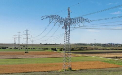 animales, torres de alta tensión, Austria