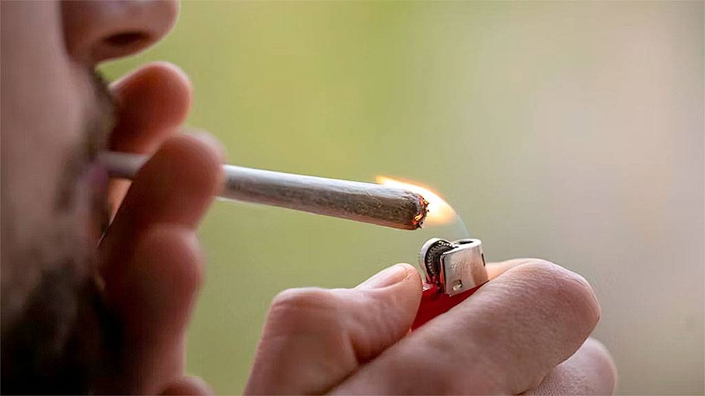 cannabis, Tribunal Administrativo de Baviera, Jardín Inglés, , prohibición cannabis Baviera, Markus Söder cannabis, CSU cannabis, parques Múnich, Hofgarten Múnich, justicia alemana cannabis