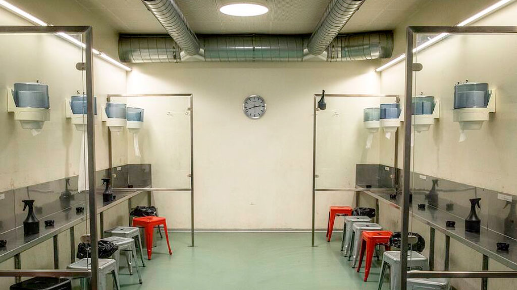 crack en Alemania, consumo de drogas en Berlín, drogadicción en Alemania, crack Frankfurt Hamburgo, aumento del consumo de crack, políticas de drogas Alemania, salud pública y drogas, adicciones en Europa, escenas de consumo abierto, crack y marginalidad urbana