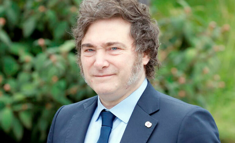 Michael Georg Link, Javier Milei, Deutschland, FDP Liberale Reformen, Strukturreformen in Deutschland, Friedrich-Naumann-Stiftung Buenos Aires, liberale Wirtschaftspolitik, Bürokratieabbau Deutschland, Reformen als Chance, wirtschaftlicher Wandel Argentinien, liberale Agenda international