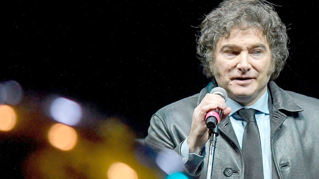 Javier Milei, reformas estructurales, Alemania, Michael Georg Link, liberalismo en Argentina, economía argentina 2025, liberalismo alemán, elecciones legislativas Argentina, referentes liberales europeos, desregulación Argentina Milei, cambio político en Argentina, modelo económico argentino