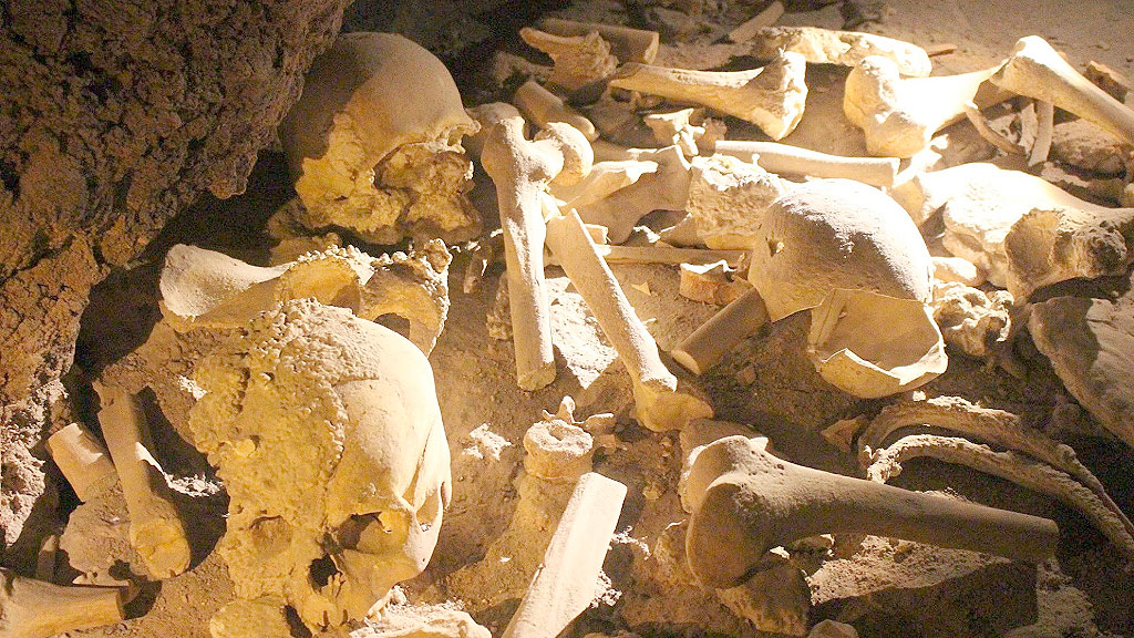 Universidad de Gotinga, Cueva de Lichtenstein, análisis genético, familia más antigua del mundo, árbol genealógico de 3000 años, ADN prehistórico, arqueología Alemania, Universidad de Gotinga, Harz Baja Sajonia, Manfred Huchthausen, Uwe Lange, descubrimiento arqueológico Alemania