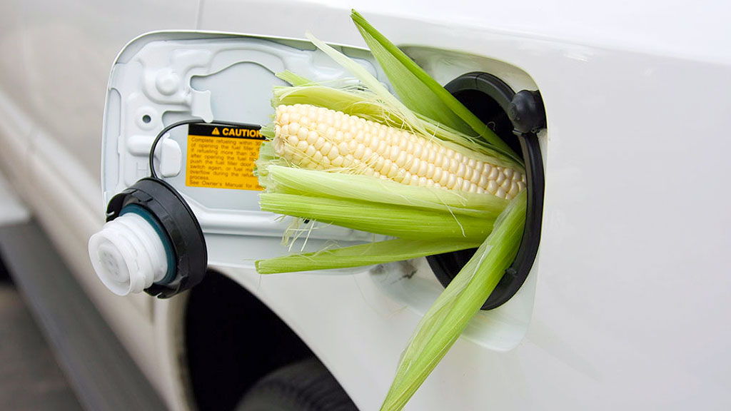 Alemania, E10, matriz energética, bioetanol Alemania, nafta E10, emisiones CO2 transporte Alemania, combustibles alternativos Alemania, Super E5 Alemania, política energética alemana, biocombustibles Europa, estaciones de servicio Alemania