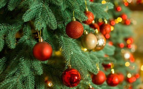 árbol de Navidad, Alemania, tradición, inmigración alemana, historia de la Navidad, panaderos alemanes, Casa Blanca 1889, tradiciones navideñas