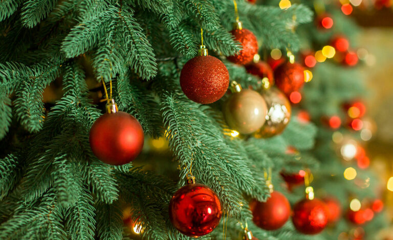 árbol de Navidad, Alemania, tradición, inmigración alemana, historia de la Navidad, panaderos alemanes, Casa Blanca 1889, tradiciones navideñas