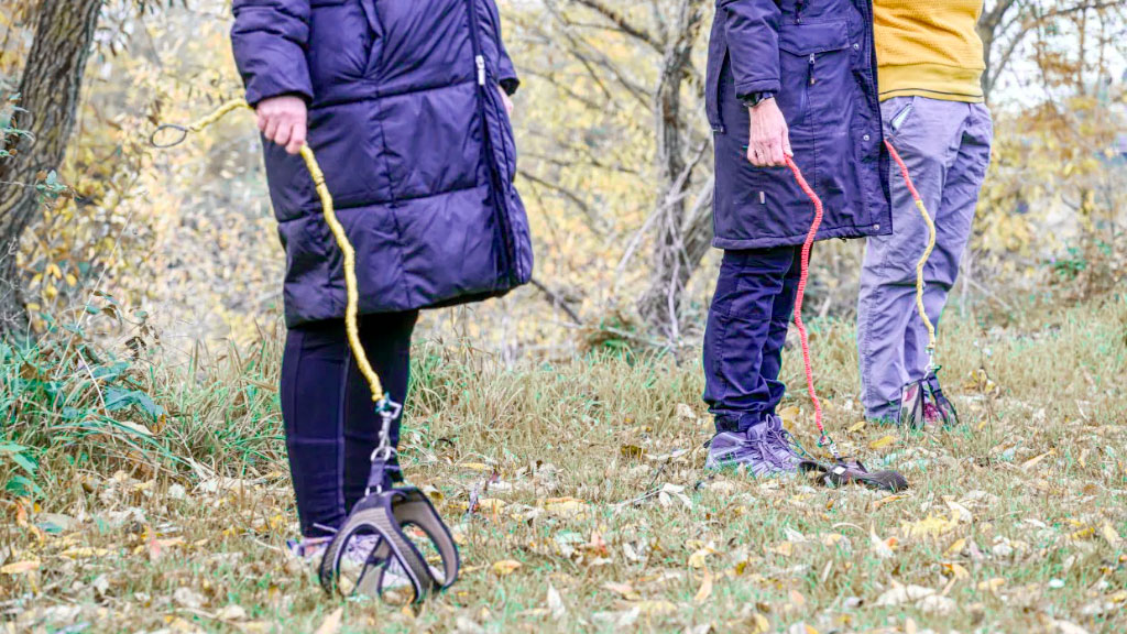 Hobby Dogging, Bad Friedrichshall, Barbara Gerlinger, Stuttgart, entrenadora canina, redes sociales, Hobby Dogging Alemania, Barbara Gerlinger entrenadora, perros imaginarios tendencia, Bad Friedrichshall moda viral, pasear perros sin animal, tendencia redes sociales, adiestramiento canino Alemania, moda viral alemana, TikTok Instagram tendencia, entrenamiento mental perros
