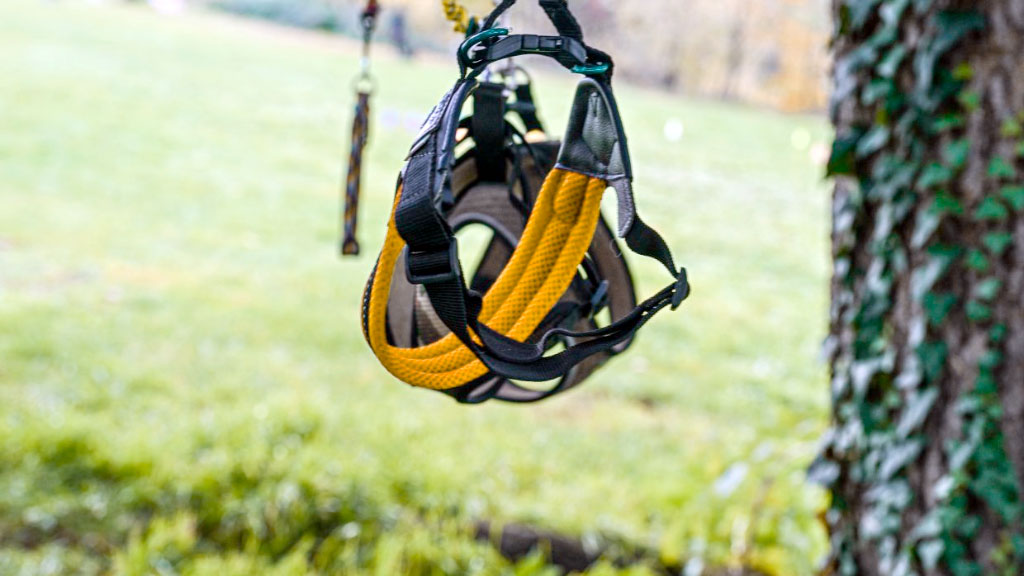 Hobby Dogging, Bad Friedrichshall, Barbara Gerlinger, Stuttgart, entrenadora canina, redes sociales, Hobby Dogging Alemania, Barbara Gerlinger entrenadora, perros imaginarios tendencia, Bad Friedrichshall moda viral, pasear perros sin animal, tendencia redes sociales, adiestramiento canino Alemania, moda viral alemana, TikTok Instagram tendencia, entrenamiento mental perros