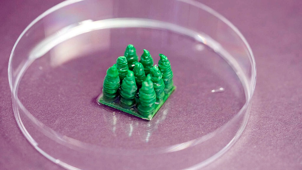 Escuela Politécnica Federal de Zúrich, Cianobacterias, Nature, hormigón ecológico Suiza, material construcción sostenible, ETH Zúrich, captura CO2 edificios, biomineralización, hormigón autorreparable, emisiones cemento, construcción sustentable