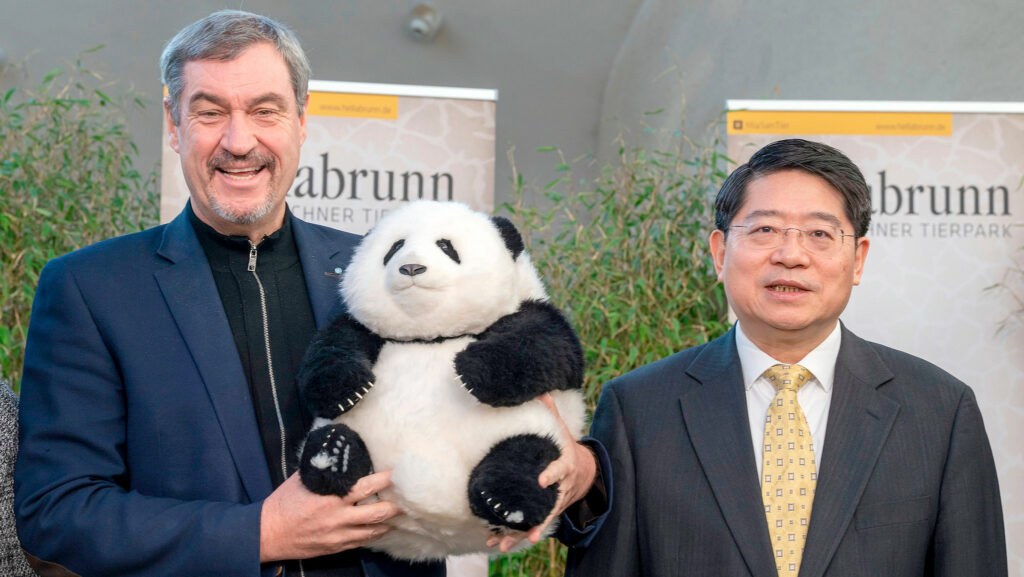 pandas gigantes, China, Múnich, zoológico Hellabrunn, diplomacia, Baviera, Markus Söder, conservación, Alemania, relaciones internacionales
