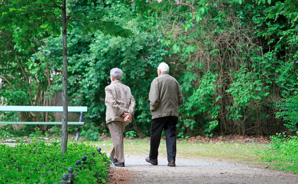 Alemania, Destatis, Instituto Federal de Investigación Demográfica, envejecimiento población Alemania demografía 2025, tasa natalidad Alemania caída, baby boomers jubilación Alemania, inmigración Alemania mercado laboral, sistema pensiones Alemania crisis, población Alemania 2070 pronóstico, Destatis estadísticas población alemana